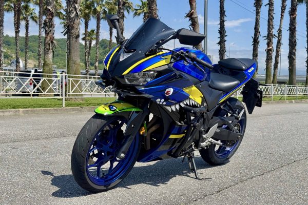 Yamaha YZF-R3 ABS (2015 г.в.) - Image 8